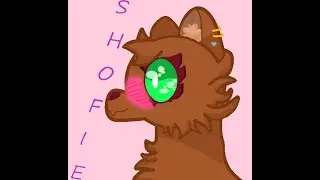 I drew a cute cat named Shofie