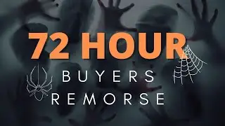 72 Hour Buyers Remorse. Learning to Pivot and Leap Years in Business.