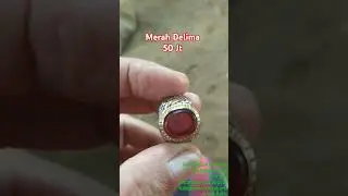 Merah Delima /Merah Siam 