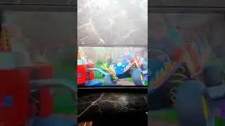 света и Богдан поют зайчики
