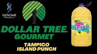 Tampico Island Punch - The Dollar Tree Gourmet