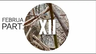 FEBRUA 12 (river bird blues) - Winter Soundtrack Sample