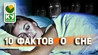 10 ФАКТОВ О СНЕ