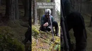 Tripod Trick to Shoot at a Low Angle