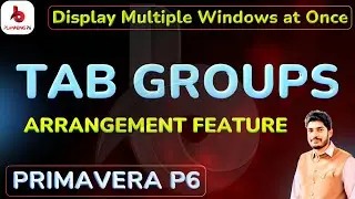 How to Use Tab Groups and Arrangements Feature in Primavera P6 | Open Multiple Windows at Once in P6