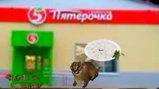 Шлёпа зашёл в Пятёрочку за пельменями (анимация)