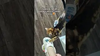 Какая милота 🎀 она дождалась меня дома
