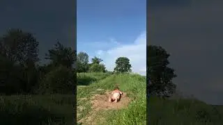 Лето, ты ешь песок и впереди вся жизнь 😍