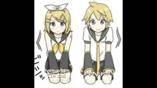 not a ship