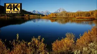 Lake Ambience | Autumn 🍂