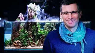 Something went wrong, so I HAD TO REPLANT the Shallow Tank - Aquascaping Tutorial