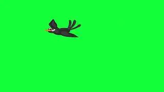 crow green screen video no copyright free and use your video