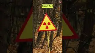 The Creepiest Things Found At Pripyat And Chernobyl  - Part 7 