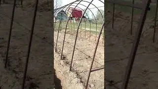 Теплица 