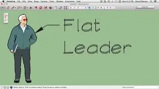 FlatLeader Intro