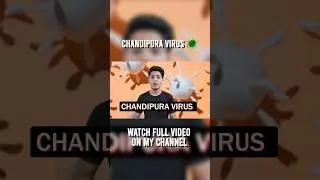 chandipura virus 🦠