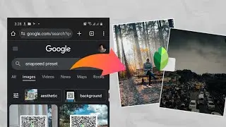 Snapseed অ্যাপের নতুন ধামাকা! Best Photo Color Preset With Snapseed & Polarr App