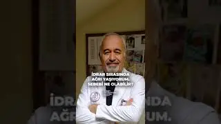 En sık görülen idrar yolları iltihaplarından birisi olan sistiti uzmanından dinliyoruz.