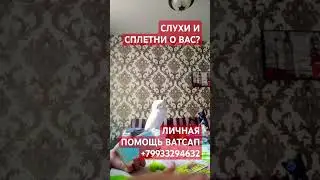 СЛУХИ И СПЛЕТНИ О ВАС?#таро#тародня#таролог#прогноз#таросудьбы#гадание#рек#таролог#таробудущее