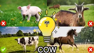 Learn Sounds and Names of Farm Animals for Kids - Quiz for Kids