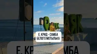 SaxCover🎷Валерий Меладзе-Самба белого мотылька (кавер Егор Крид), еще больше музыки в профиле!