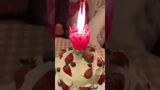 Birthday Lotus toy