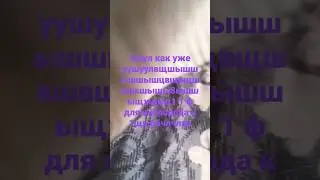 5 марта 2023 г.