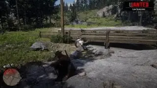 Red Dead Redemption 2 | Oh shit boogie died