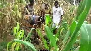 😆Aklolui😃🤔(SEDOPE) C.K.S. MAGNIFICENT PRODUCTIONS🇬🇭