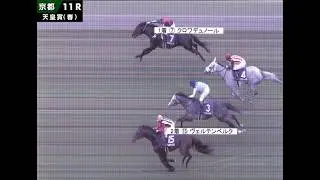 2026年天皇賞(春)　クロワデュノール