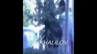 Золотая Молодежь Армении
