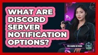 What Are Discord Server Notification Options?