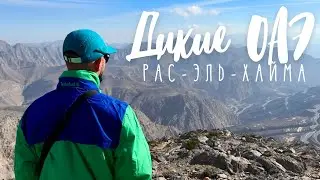 Дикие ОАЭ. Горы и хайкинг в Рас-эль-Хайме,  Джебель Джейс, Хаджарские горы, Форт Дайя