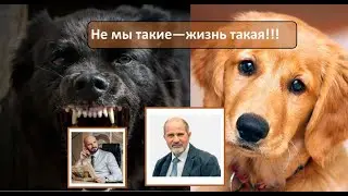 Интервью с предпринимателем. Почувствуйте масштабы мышления.