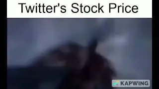 Twitter's Stock Price