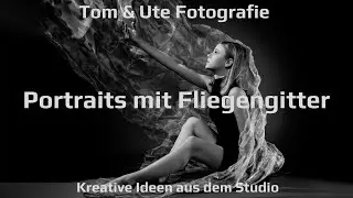 Portraits mit Fliegengitter - Kreatives aus dem Studio