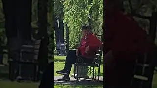 Ты НЕ ЗНАЕШЬ названия этих деревьев по английски ! 🇺🇲 