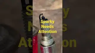 Cleaning up the spark plugs after detecting a rough idle. Smooth running. #car #maintain￼