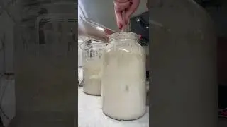 BIG BATCH SOURDOUGH for my BIG FAMILY!