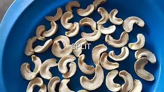 Split Mangalore quality Cashews