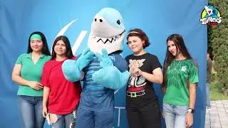 tiburones al aire bienvenida cuatrimestral