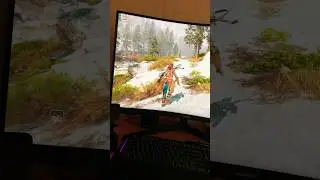 Horizon Forbidden West on PC