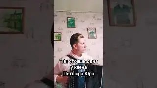 Ты стоишь одна у клёна - Петлюра Юра, на гармони 