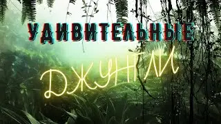 УДИВИТЕЛЬНЫЕ ДЖУНГЛИ (Green Hell, CS:GO)