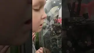 Кабина пилота