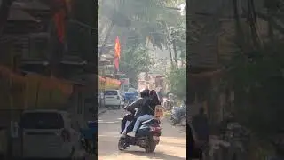 Утренние будни Палолема.