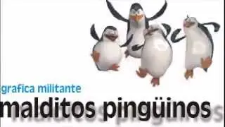 Macri Zanguango