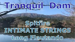 Spitfire ORIGINALS INTIMATE STRINGS long flautando 