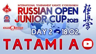 «Russian Open Junior Cup - 2023». ТАТАМИ A  (2 день)