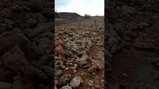 Последствия урагана в Крыму,ноябрь 2023